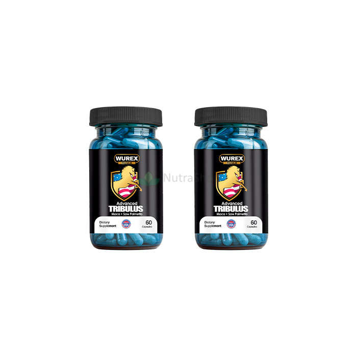 Wurex Tribulus - Food supplement to increase potency Wurex Tribulus - Food supplement to increase potency